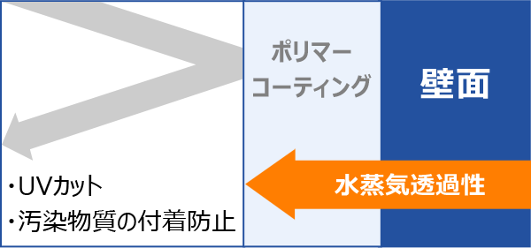 水蒸気透過性